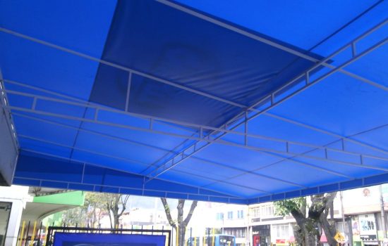 Estructura interna del parasol.